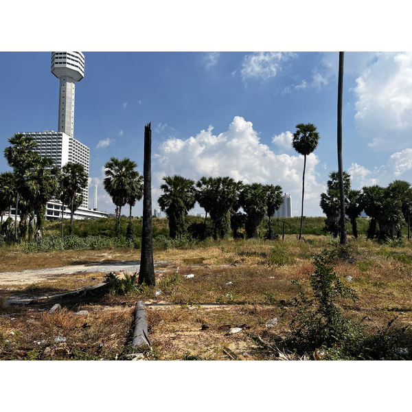 Picture Thailand Pattaya 2023-12 52 - Tours Pattaya