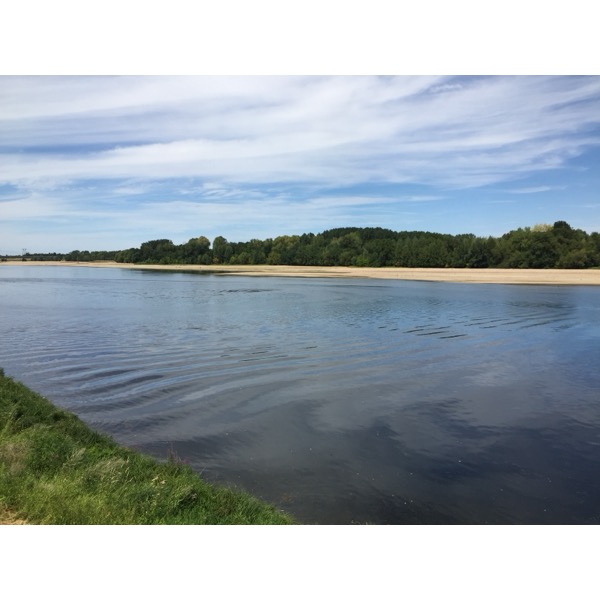 Picture France Montsoreau Castle 2017-08 6