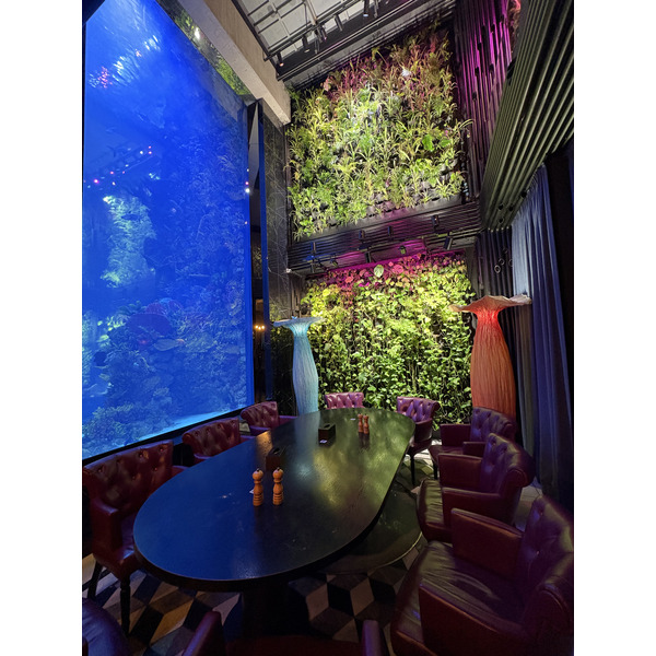 Picture Ukraine Lviv Restaurants 2024-10 3 - Around Restaurants