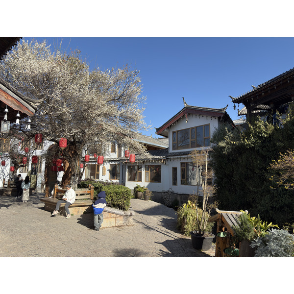 Picture China Lijiang 2026-01 564 - Center Lijiang