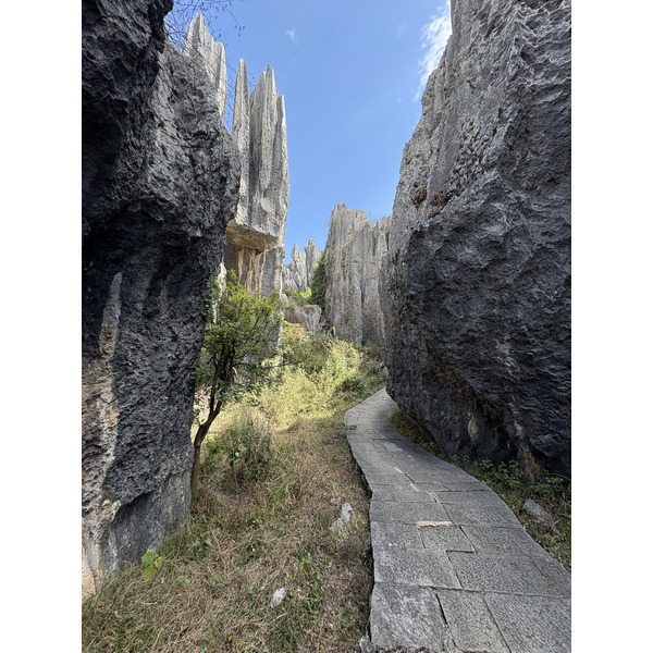 Picture China Shilin Stone Forest 2026-01 163 - Tours Shilin Stone Forest