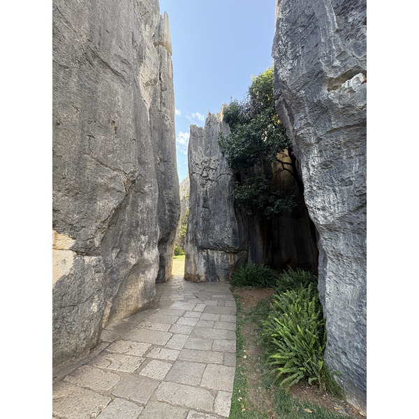 Picture China Shilin Stone Forest 2026-01 127 - Center Shilin Stone Forest
