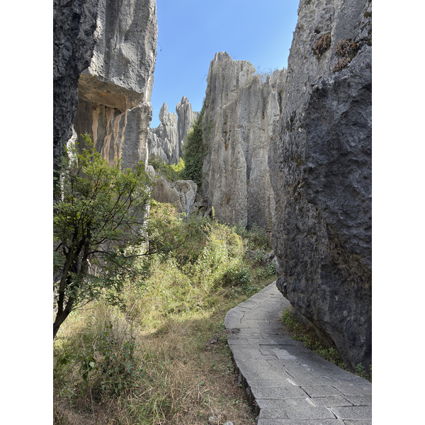 Picture China Shilin Stone Forest 2026-01 124 - Discovery Shilin Stone Forest