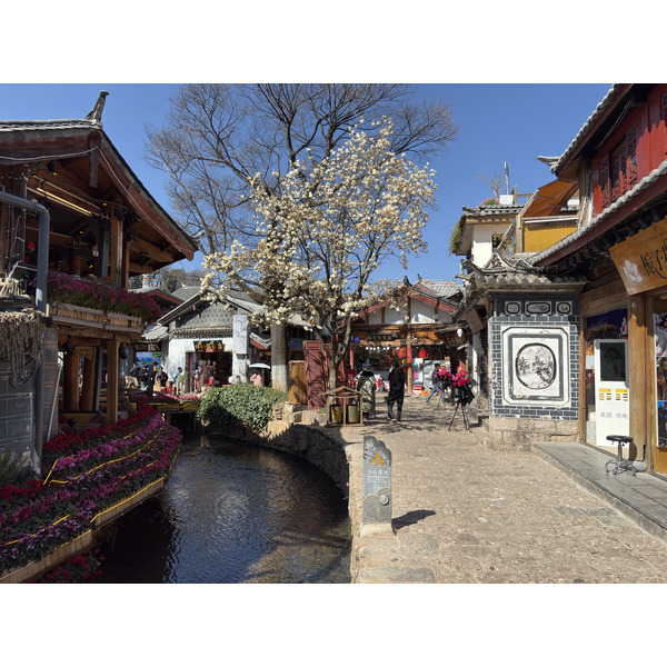 Picture China Lijiang 2026-01 279 - Discovery Lijiang