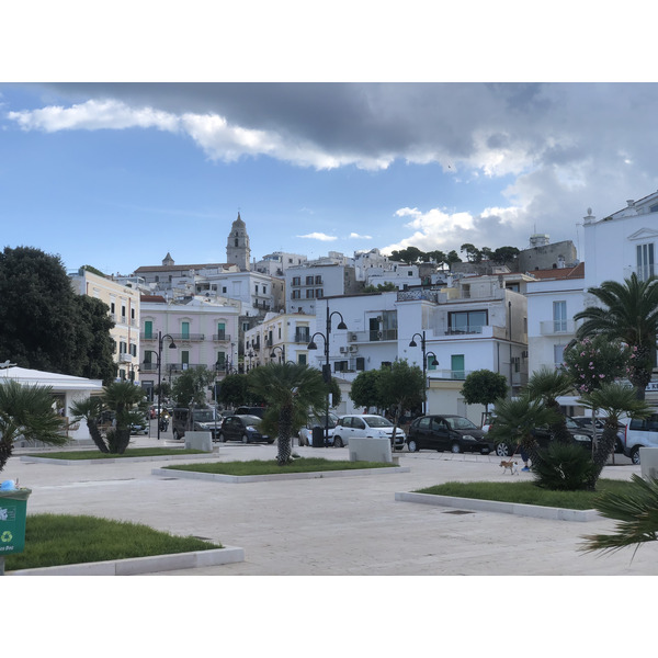 Picture Italy Vieste 2024-09 6 - Around Vieste