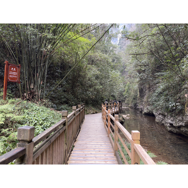 Picture China Zhangjiajie Grand Canion 2026-01 41 - Tours Grand Canion