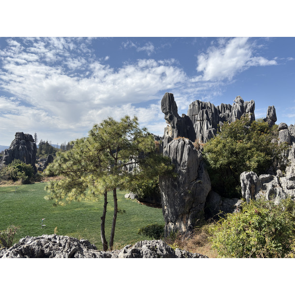 Picture China Shilin Stone Forest 2026-01 23 - Tour Shilin Stone Forest