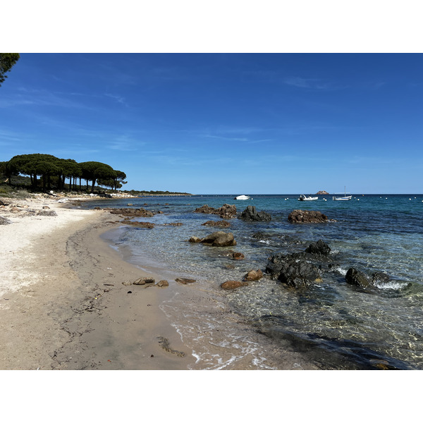 Picture France Corsica Pinarellu Beach 2024-05 7 - Around Pinarellu Beach