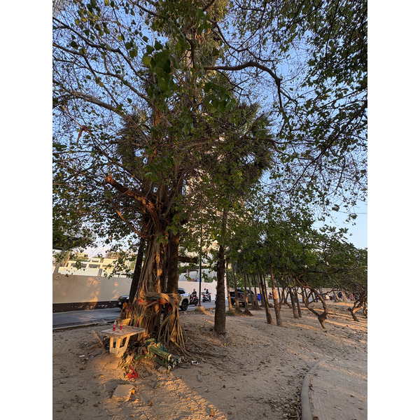 Picture Thailand Pattaya Dongtan beach 2025-12 28 - History Dongtan beach