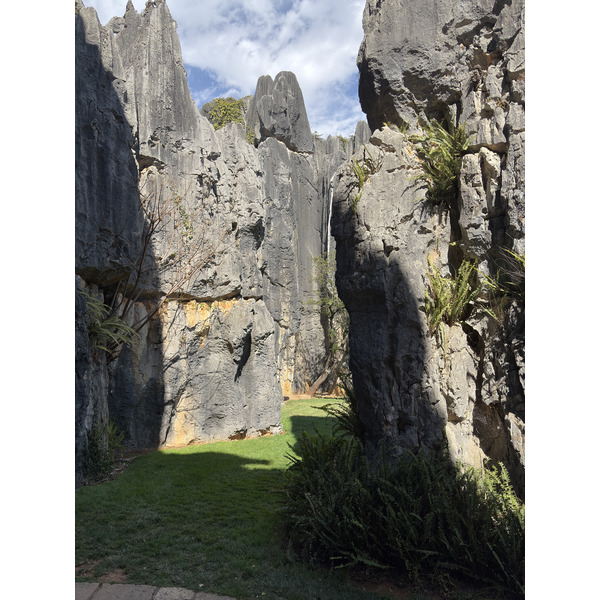 Picture China Shilin Stone Forest 2026-01 266 - Discovery Shilin Stone Forest
