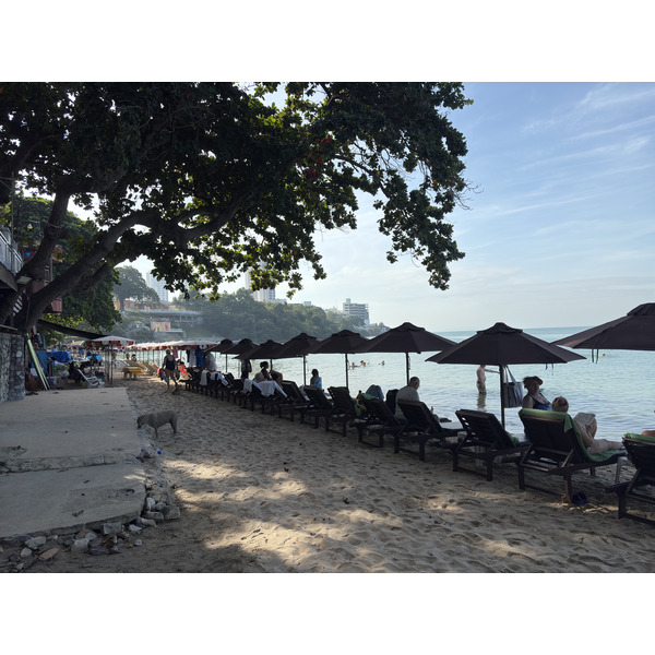 Picture Thailand Pattaya 2024-12 36 - Journey Pattaya
