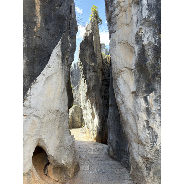 Picture China Shilin Stone Forest 2026-01 239 - Journey Shilin Stone Forest