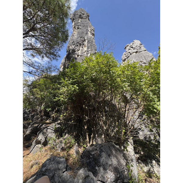 Picture China Shilin Stone Forest 2026-01 354 - Tour Shilin Stone Forest