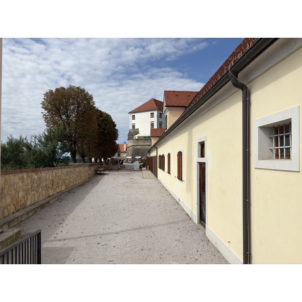 Picture Slovenia Ptuj 2025-09 23 - Journey Ptuj