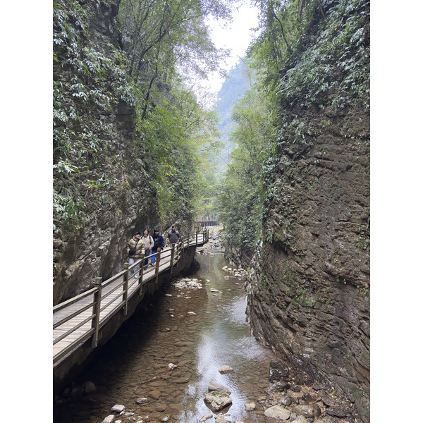 Picture China Zhangjiajie Grand Canion 2026-01 74 - Tour Grand Canion
