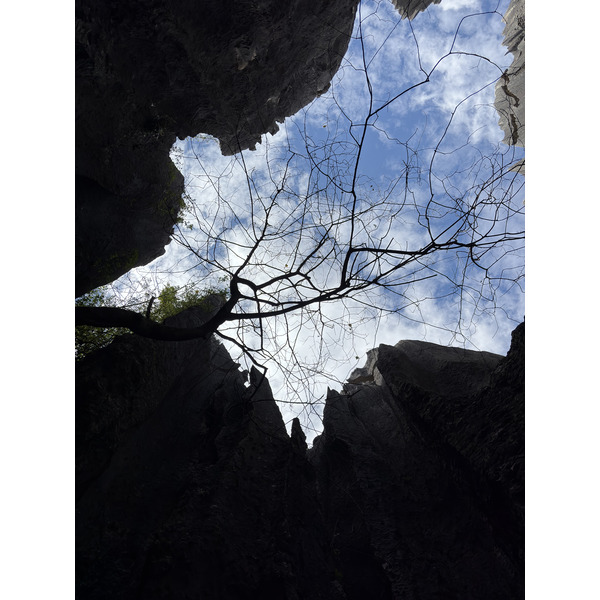 Picture China Shilin Stone Forest 2026-01 119 - Journey Shilin Stone Forest