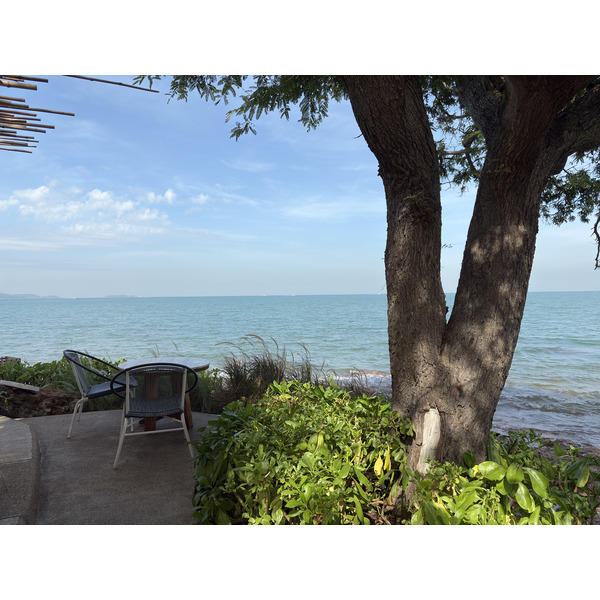 Picture Thailand Pattaya Oxygen Restaurant 2024-12 69 - Around Oxygen Restaurant