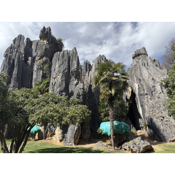 Picture China Shilin Stone Forest 2026-01 10 - Journey Shilin Stone Forest