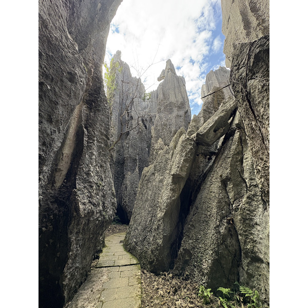 Picture China Shilin Stone Forest 2026-01 4 - Around Shilin Stone Forest