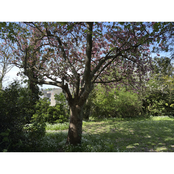 Picture France Concarneau Ville close 2026-04 36 - Tours Ville close