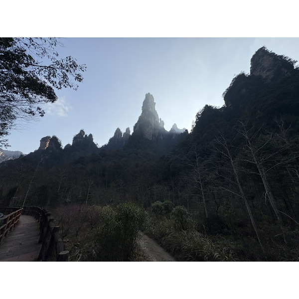 Picture China Zhangjiajie Tianzi Mountrain 2026-01 29 - Discovery Tianzi Mountrain