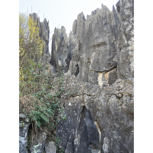 Picture China Shilin Stone Forest 2026-01 273 - Tour Shilin Stone Forest