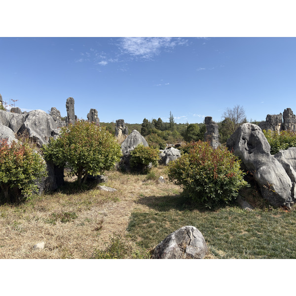 Picture China Shilin Stone Forest 2026-01 192 - Tour Shilin Stone Forest