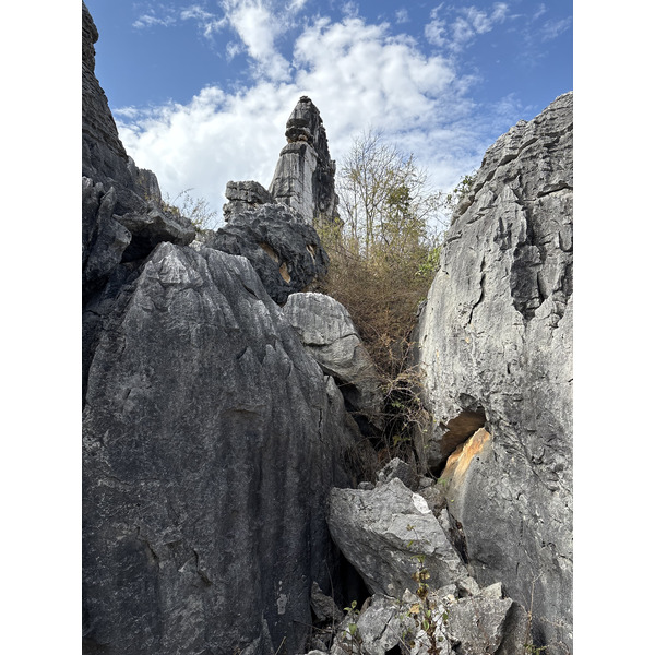 Picture China Shilin Stone Forest 2026-01 298 - Journey Shilin Stone Forest