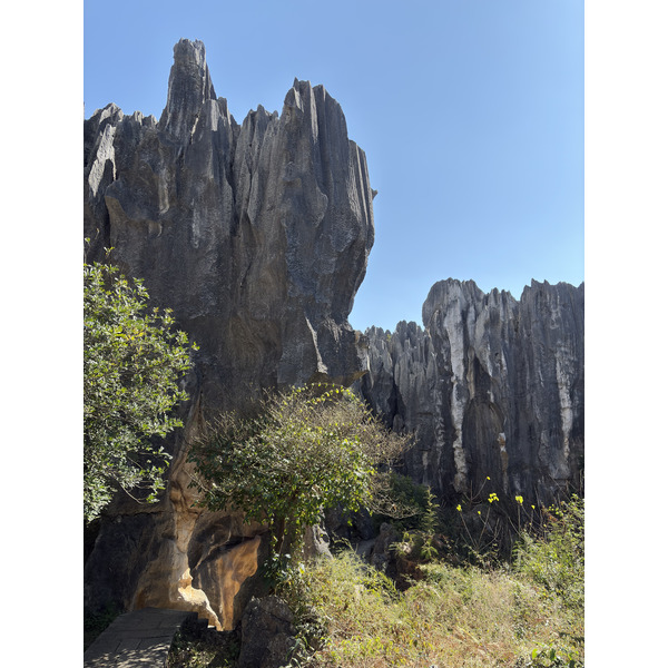 Picture China Shilin Stone Forest 2026-01 228 - Journey Shilin Stone Forest