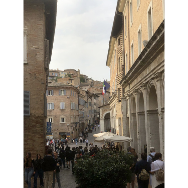 Picture Italy Urbino 2024-09 350 - Tours Urbino