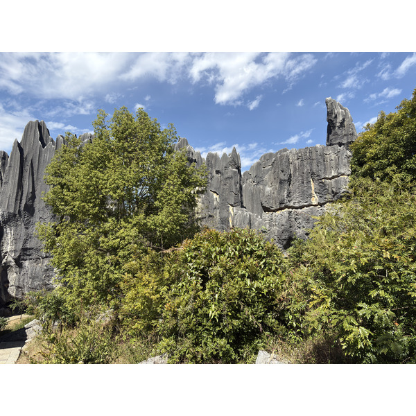 Picture China Shilin Stone Forest 2026-01 391 - Discovery Shilin Stone Forest