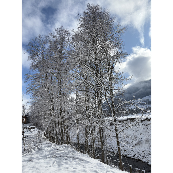 Picture France Praz sur Arly 2025-02 87 - Center Praz sur Arly