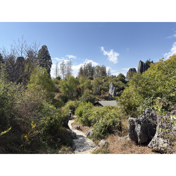 Picture China Shilin Stone Forest 2026-01 305 - Around Shilin Stone Forest