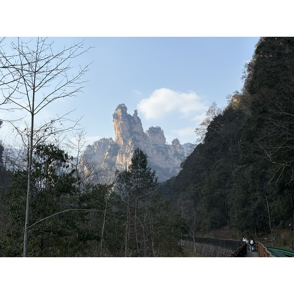 Picture China Zhangjiajie Tianzi Mountrain 2026-01 236 - Center Tianzi Mountrain
