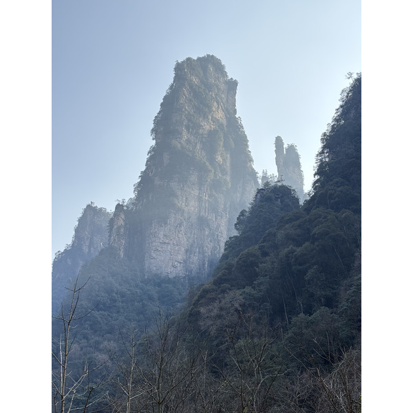 Picture China Zhangjiajie Tianzi Mountrain 2026-01 180 - Journey Tianzi Mountrain