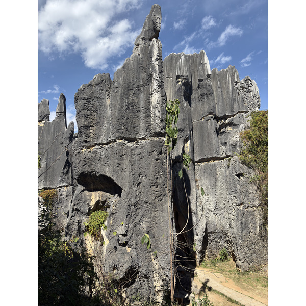 Picture China Shilin Stone Forest 2026-01 21 - Around Shilin Stone Forest