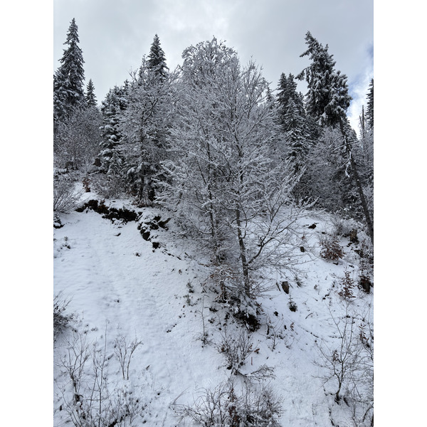 Picture France Praz sur Arly 2025-02 14 - History Praz sur Arly