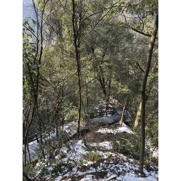 Picture China Zhangjiajie Tianzi Mountrain 2026-01 50 - Tours Tianzi Mountrain