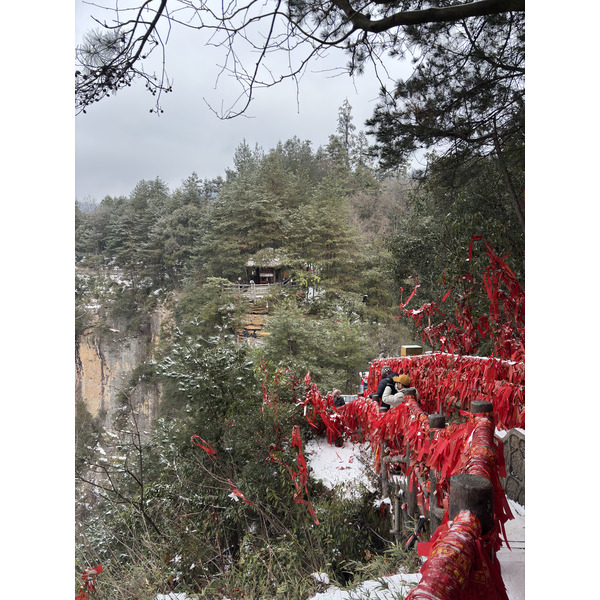 Picture China Zhangjiajie 2026-01 98 - Journey Zhangjiajie