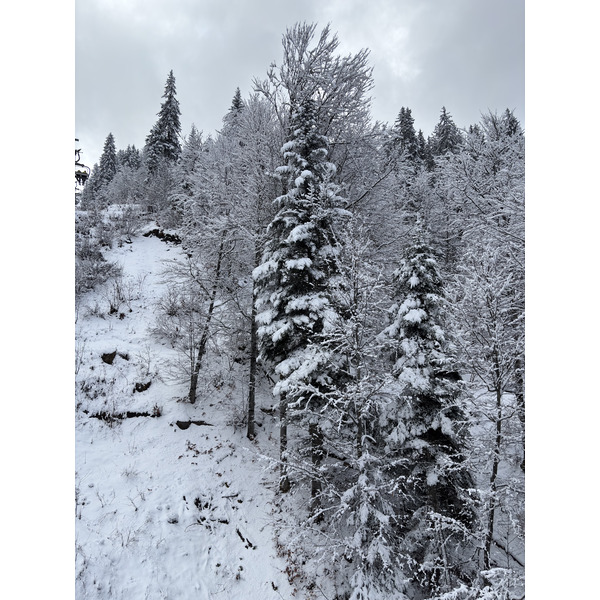 Picture France Praz sur Arly 2025-02 6 - Recreation Praz sur Arly