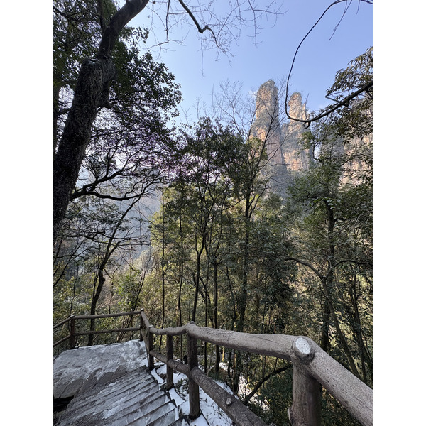 Picture China Zhangjiajie Tianzi Mountrain 2026-01 63 - Tours Tianzi Mountrain