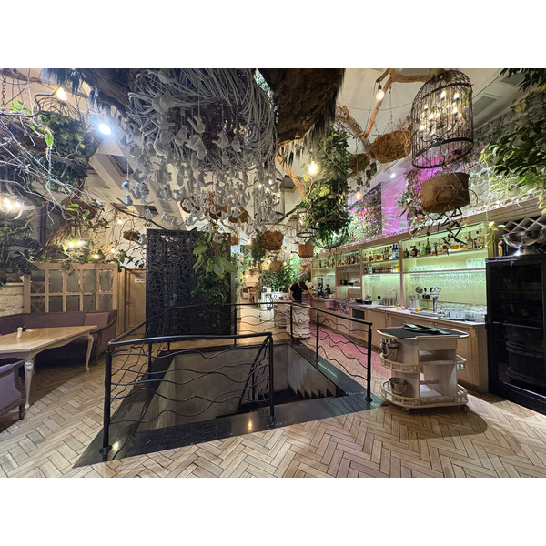 Picture Ukraine Lviv Restaurants 2024-10 83 - Recreation Restaurants