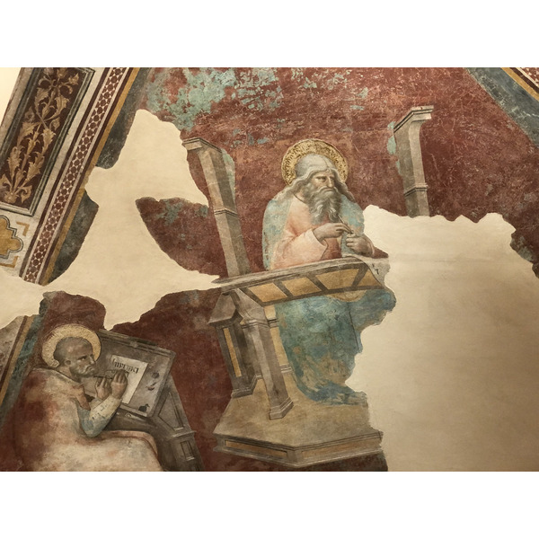 Picture Italy Urbino 2024-09 386 - Tours Urbino