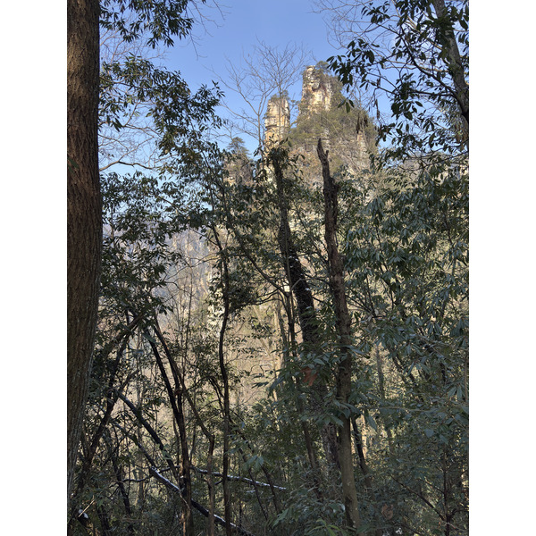 Picture China Zhangjiajie Tianzi Mountrain 2026-01 391 - Tour Tianzi Mountrain