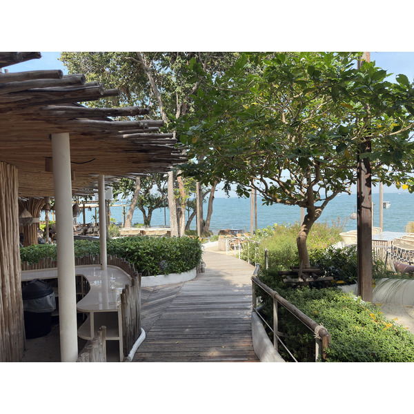 Picture Thailand Pattaya Oxygen Restaurant 2024-12 34 - Tours Oxygen Restaurant
