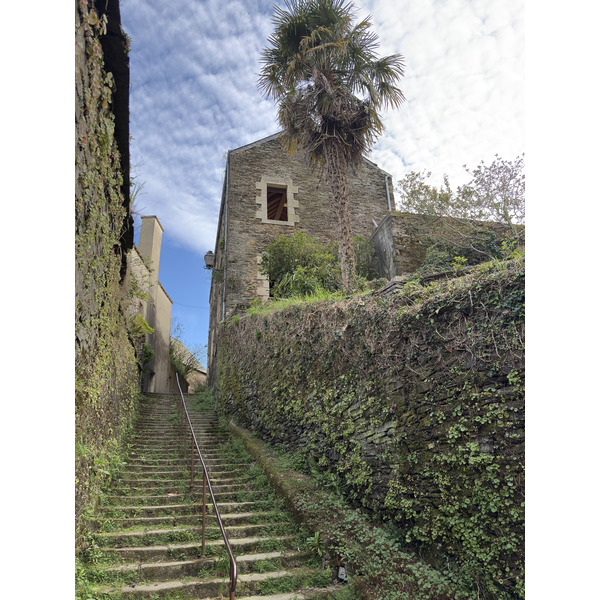 Picture France Rochefort en terre 2026-04 53
