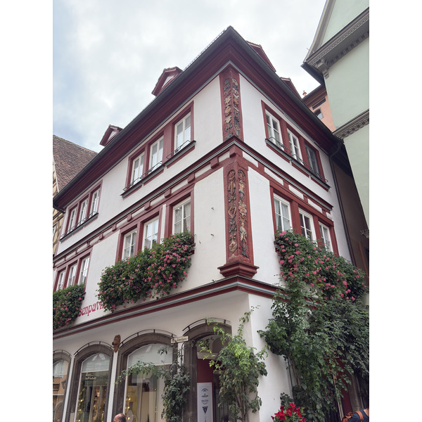 Picture Germany Rothenburg ob der Tauber⁩ 2025-09 10 - Around Rothenburg ob der Tauber⁩