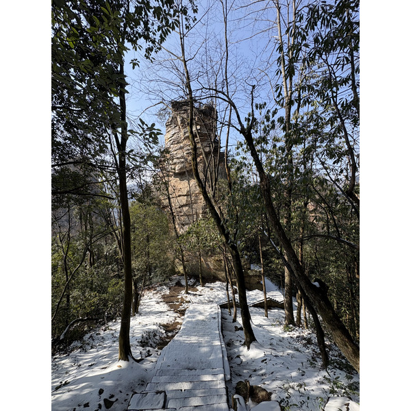 Picture China Zhangjiajie Tianzi Mountrain 2026-01 72 - Discovery Tianzi Mountrain
