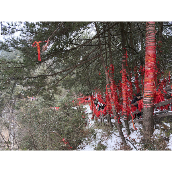 Picture China Zhangjiajie 2026-01 197 - History Zhangjiajie