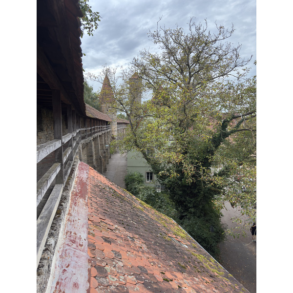 Picture Germany Rothenburg ob der Tauber⁩ 2025-09 202 - Around Rothenburg ob der Tauber⁩